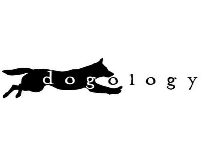 dogology