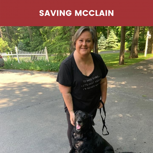 saving-mcclain-dogstarrescue