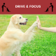 drive and focus