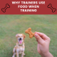 why dogs trainers use food