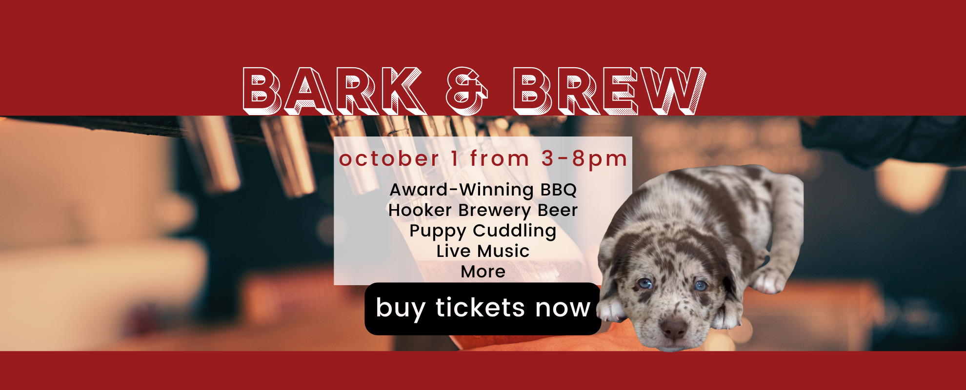 bark brew fundraiser