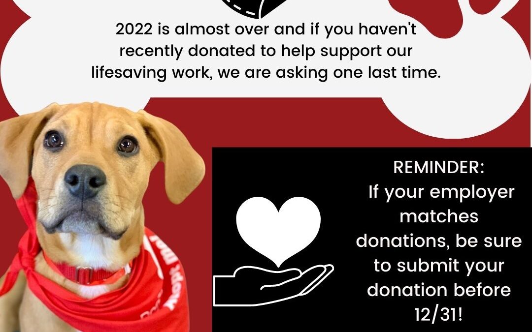 2022 annual appeal