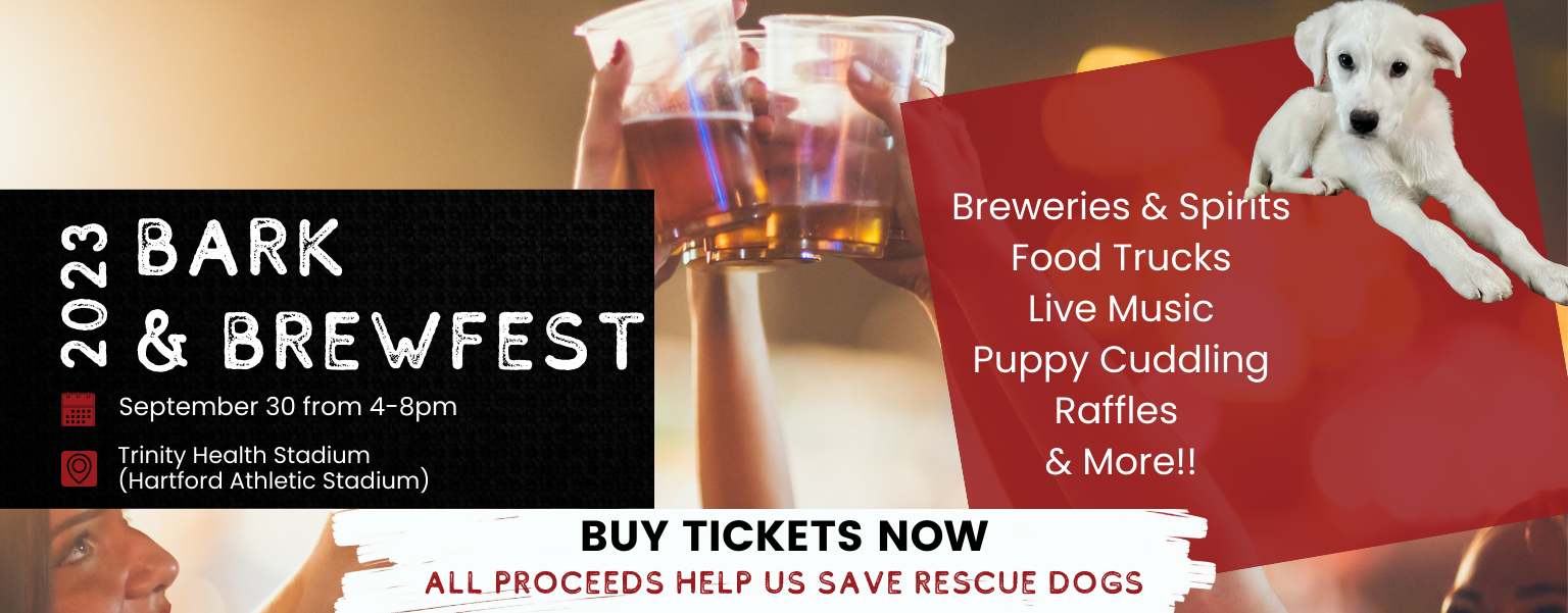 Bark & Brewfest 2023 | Buy Tickets Now