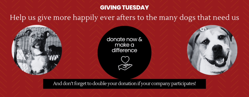 Giving Tuesday: donate here